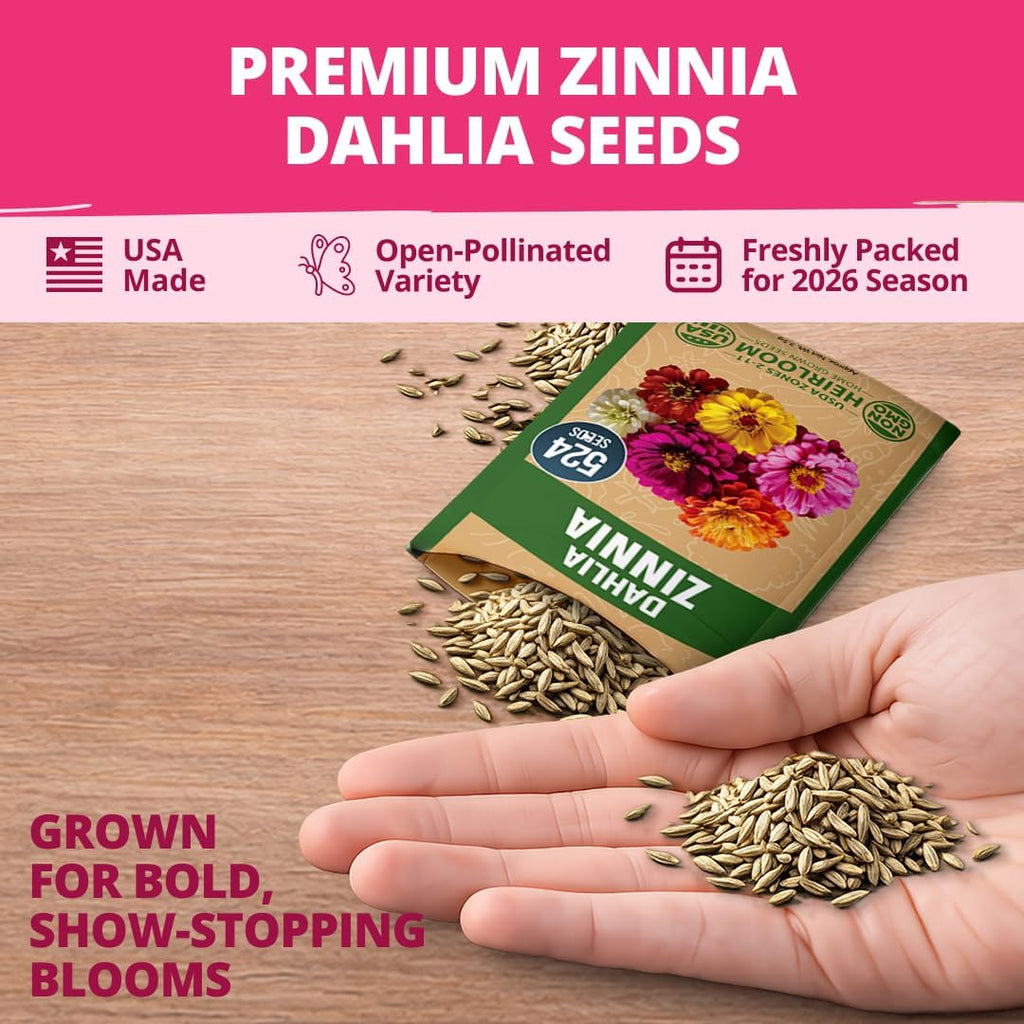 HOME GROWN Zinnia Dahlia Flower Seeds