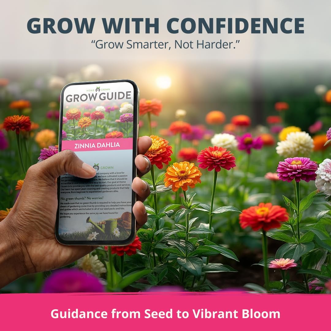 HOME GROWN Zinnia Dahlia Flower Seeds