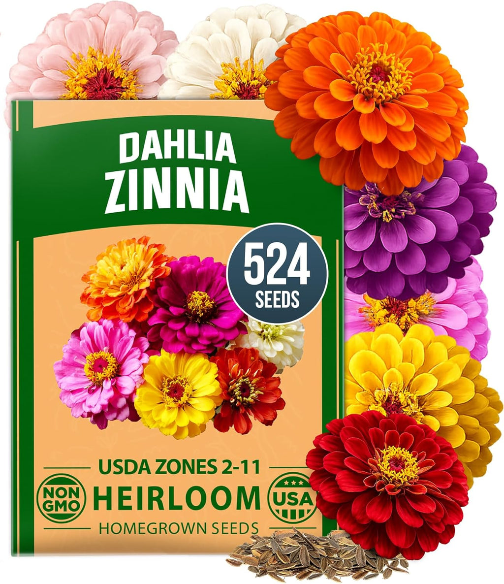 HOME GROWN Zinnia Dahlia Flower Seeds