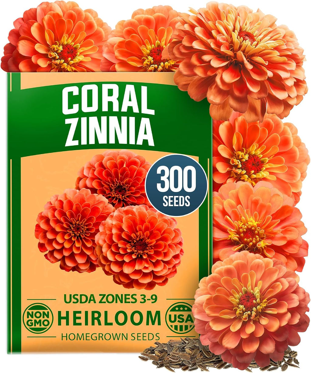HOME GROWN Zinnia Dahlia Flower Seeds