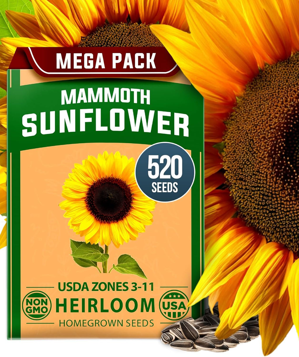 HOME GROWN Zinnia Dahlia Flower Seeds