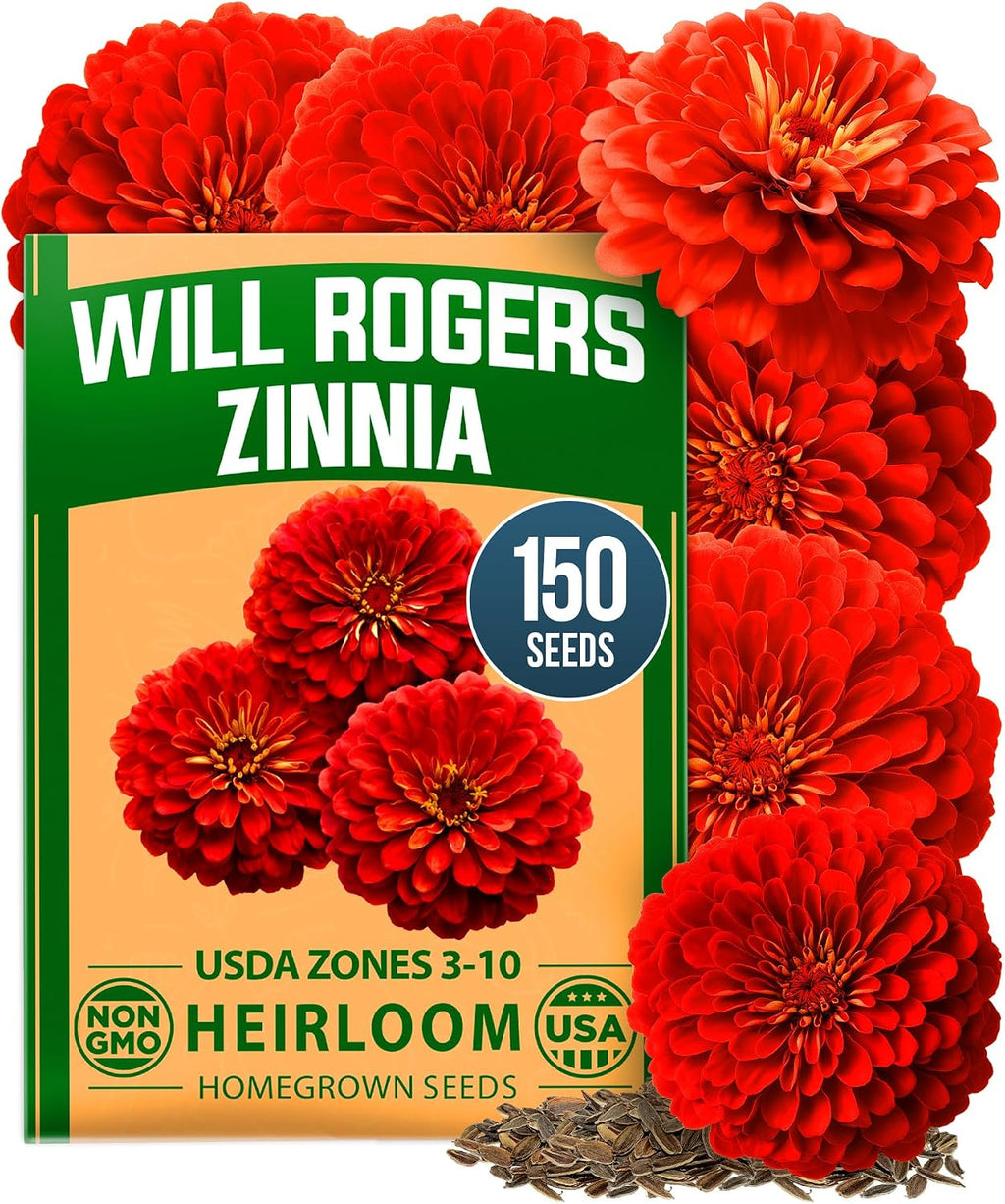 HOME GROWN Zinnia Dahlia Flower Seeds