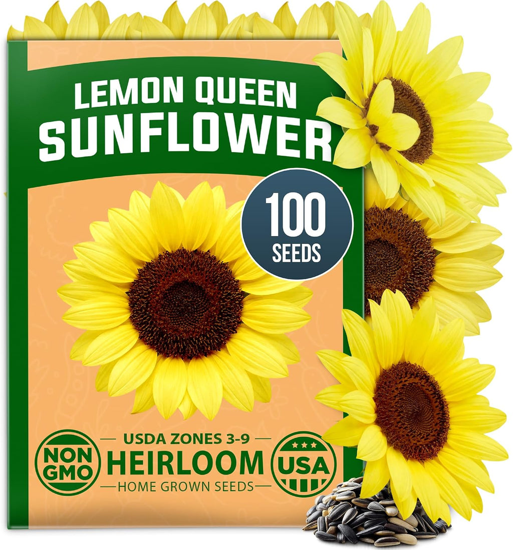 HOME GROWN Zinnia Dahlia Flower Seeds