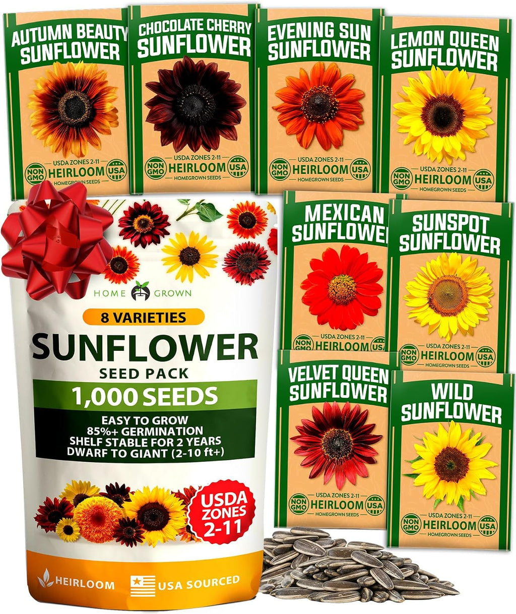 HOME GROWN Zinnia Dahlia Flower Seeds