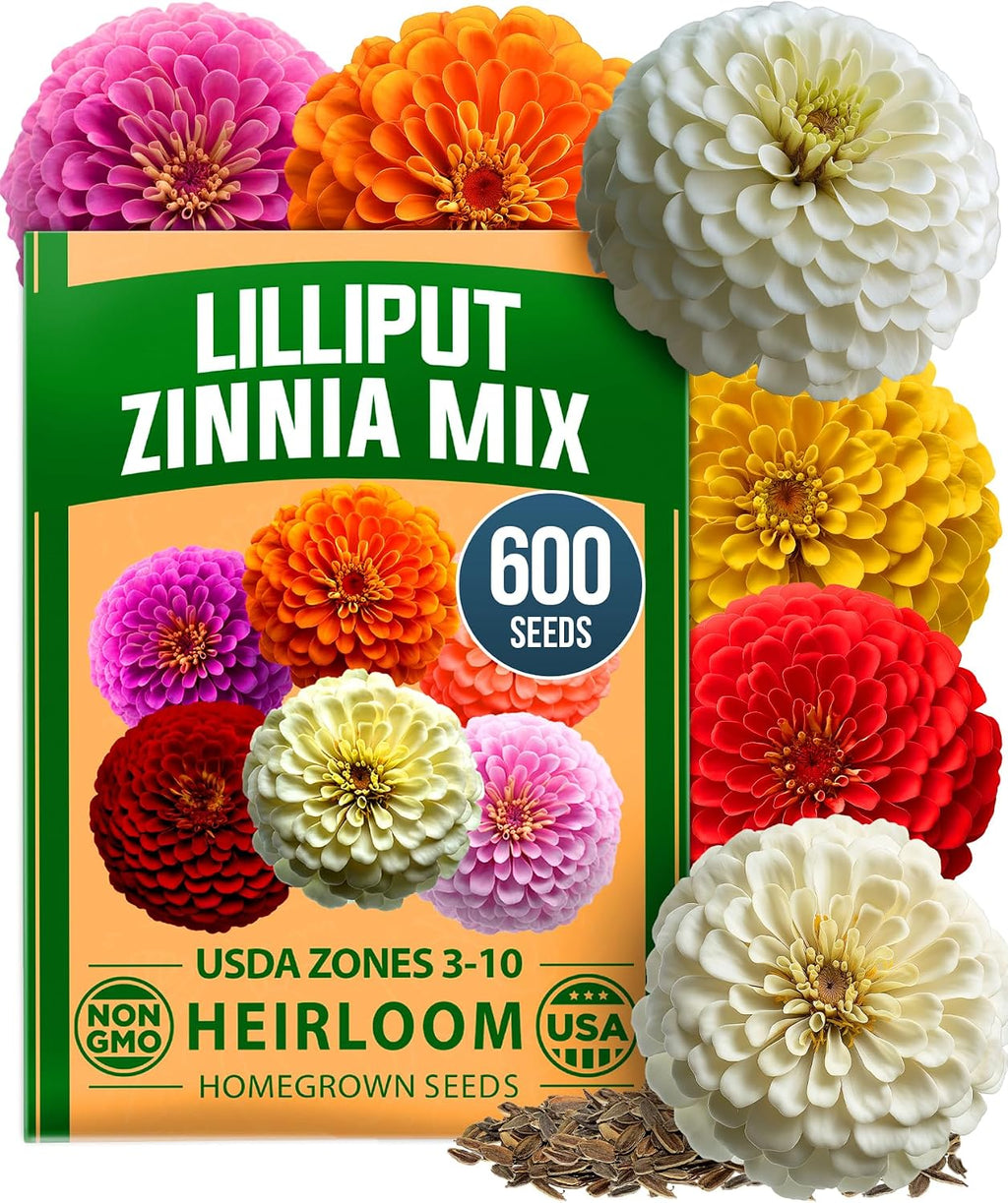 HOME GROWN Zinnia Dahlia Flower Seeds