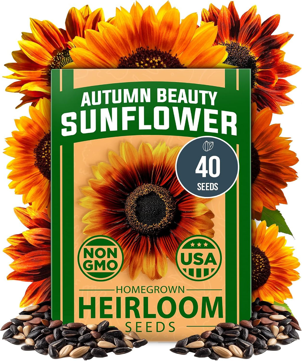 HOME GROWN Zinnia Dahlia Flower Seeds