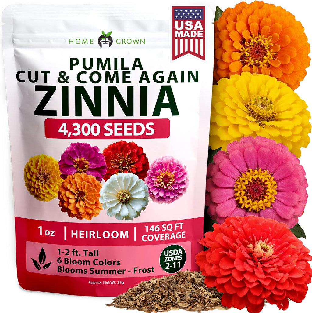 HOME GROWN Zinnia Dahlia Flower Seeds