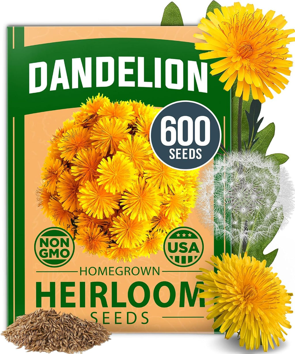 HOME GROWN Zinnia Dahlia Flower Seeds