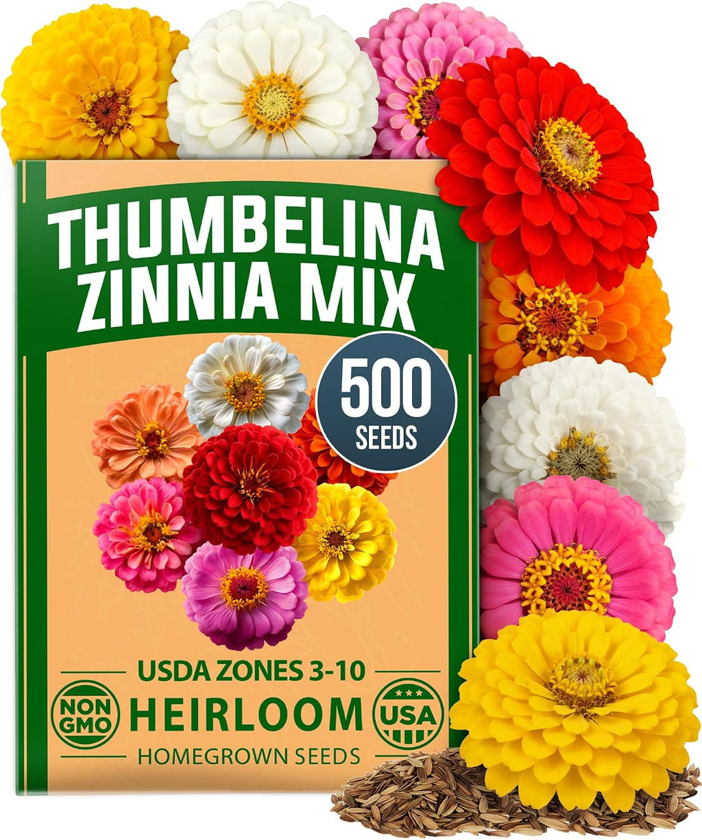 HOME GROWN Zinnia Dahlia Flower Seeds