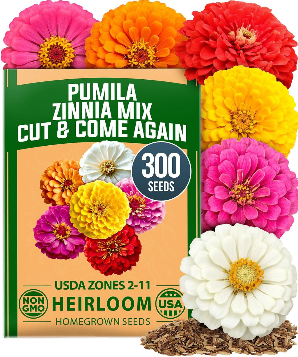 HOME GROWN Zinnia Dahlia Flower Seeds