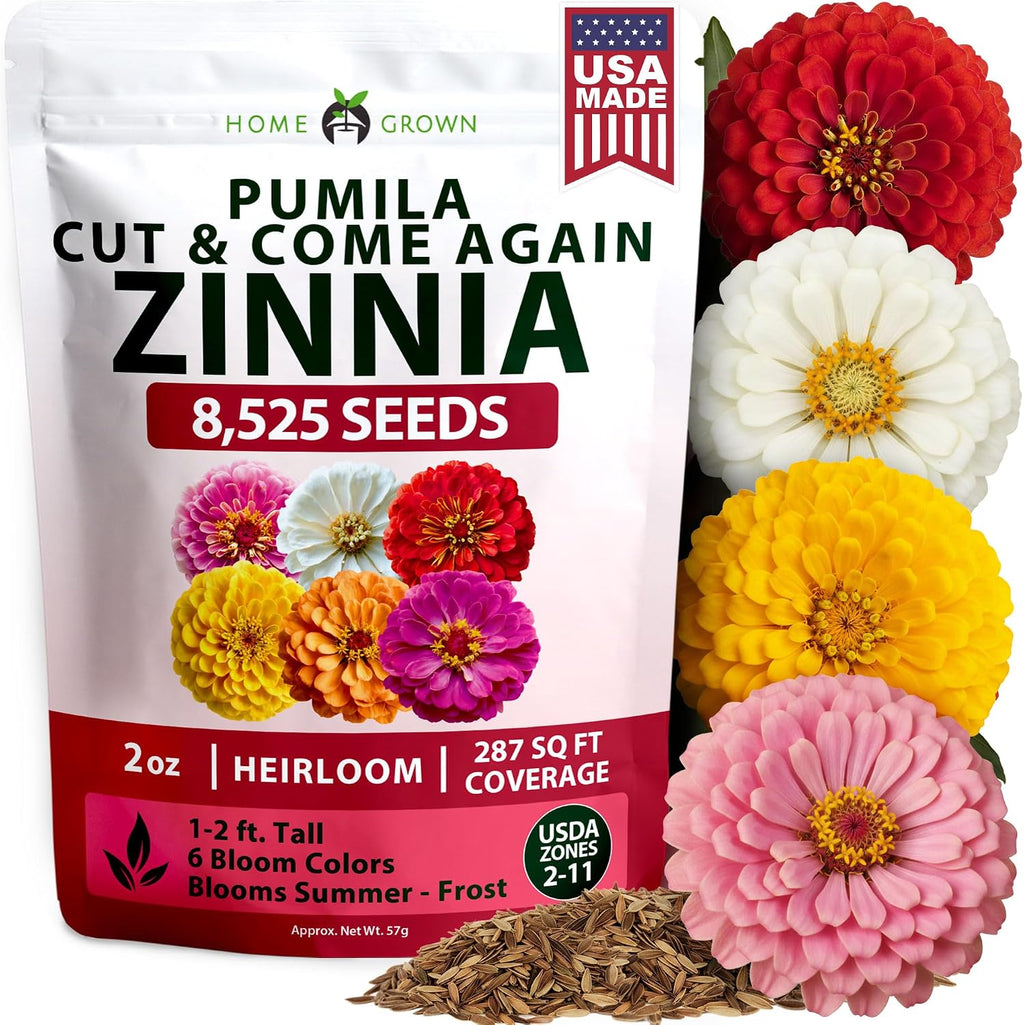 HOME GROWN Zinnia Dahlia Flower Seeds