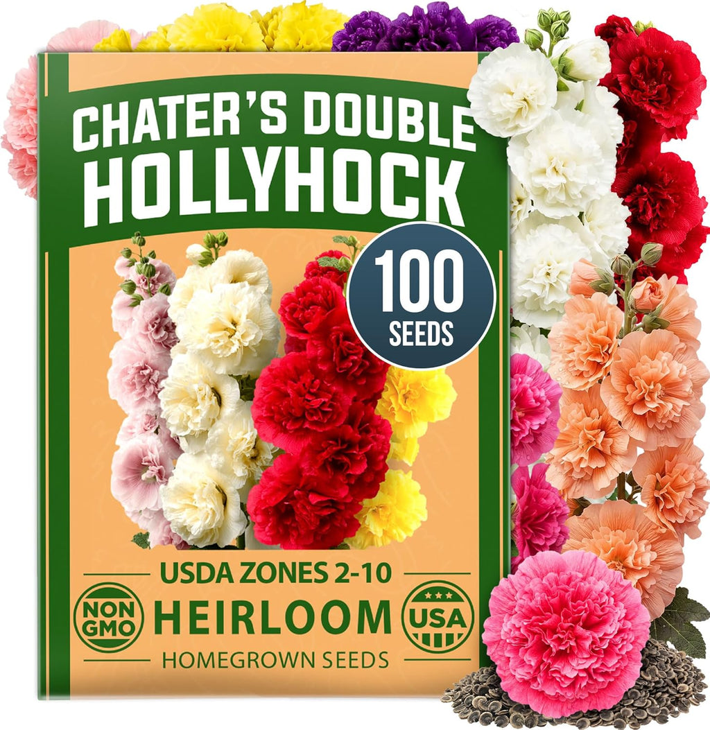 HOME GROWN Zinnia Dahlia Flower Seeds
